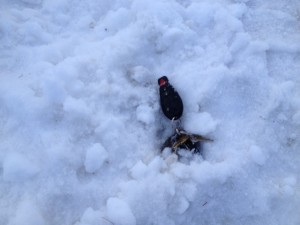 Losing Car Key In The Snow
